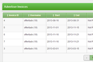 Advertiser Invoicing Area